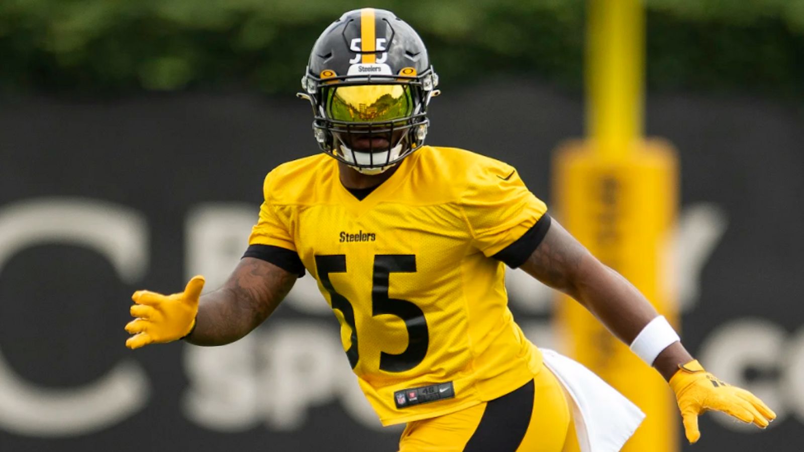 Devin bush best sale jersey steelers